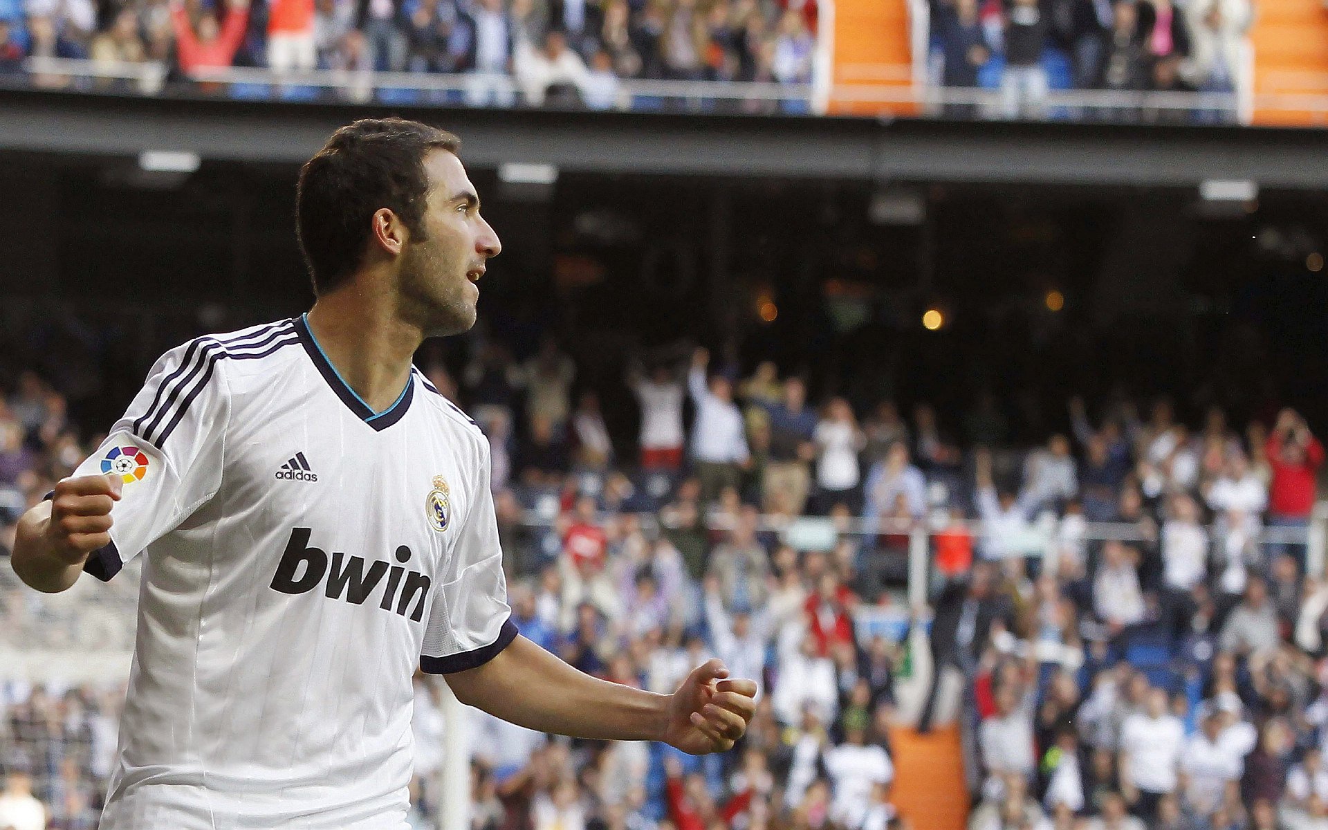 九游电竞平台官网-“阿根廷美洲狮队力争世界橄榄球顶峰，未来可期”  第4张